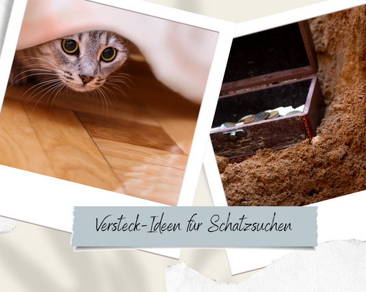 Schatzsuche Schnitzeljagd Verstecke für Kindergeburtstag Einhorn-Schnitzeljagd Detektiv Fuchs Hexen-Schatzsuche