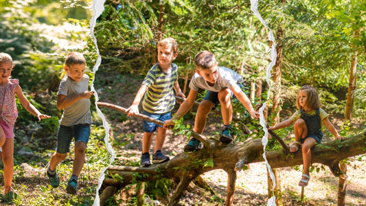 10 Spiele für den Waldgeburtstag – Ideen für Kinder von 6 bis 9 Jahren