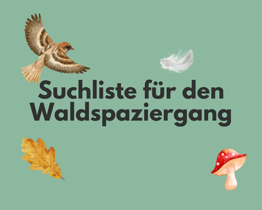 Waldspaziergang mit Kindern: Mit Achtsamkeit, Freude und Lernen die Natur erleben