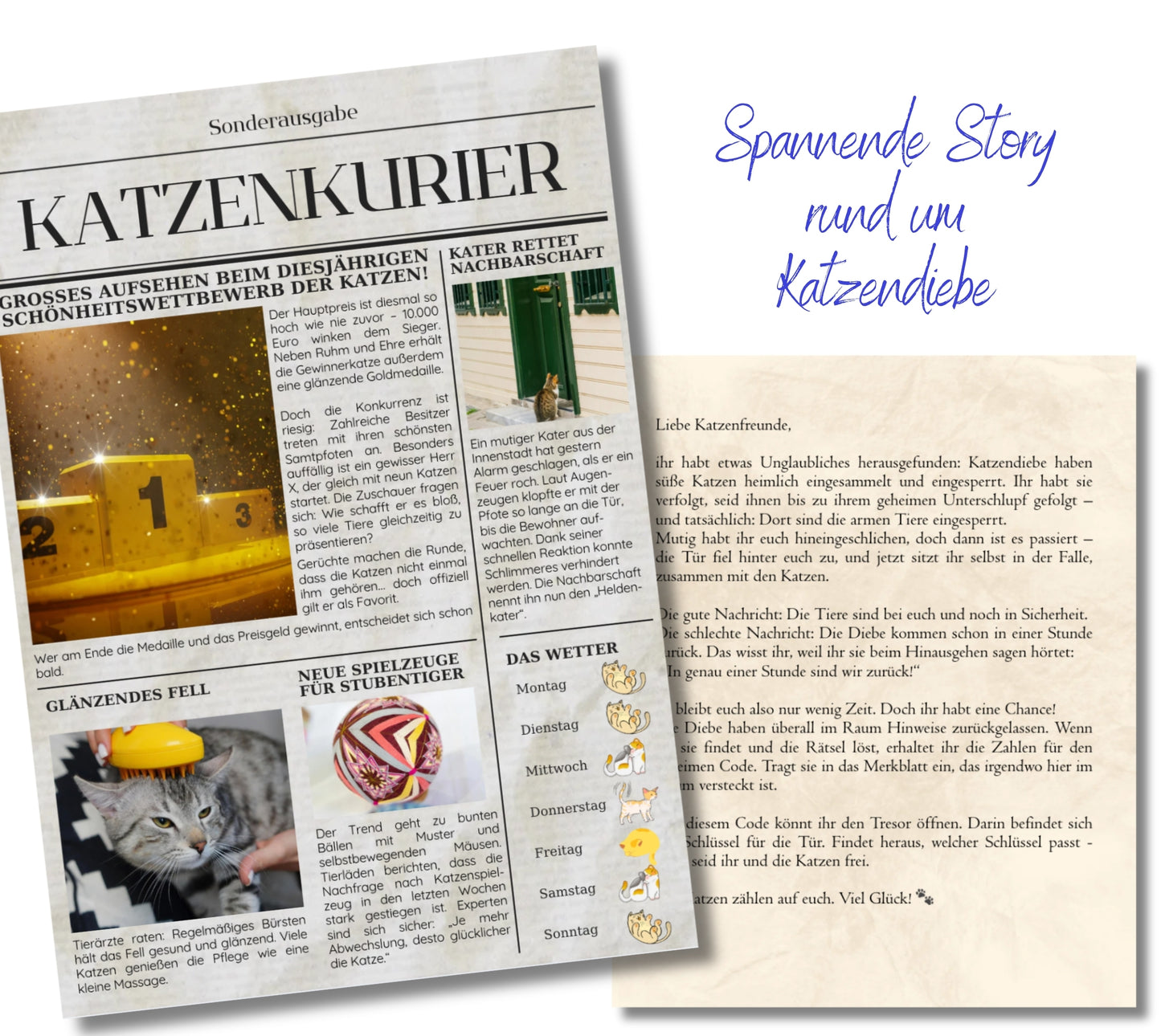 Escape Game für Kinder ab 10 Jahren | Katzenraub Abenteuer zum Ausdrucken | Rätselspiel Geburtstag, Schnitzeljagd | DIY Schatzsuche