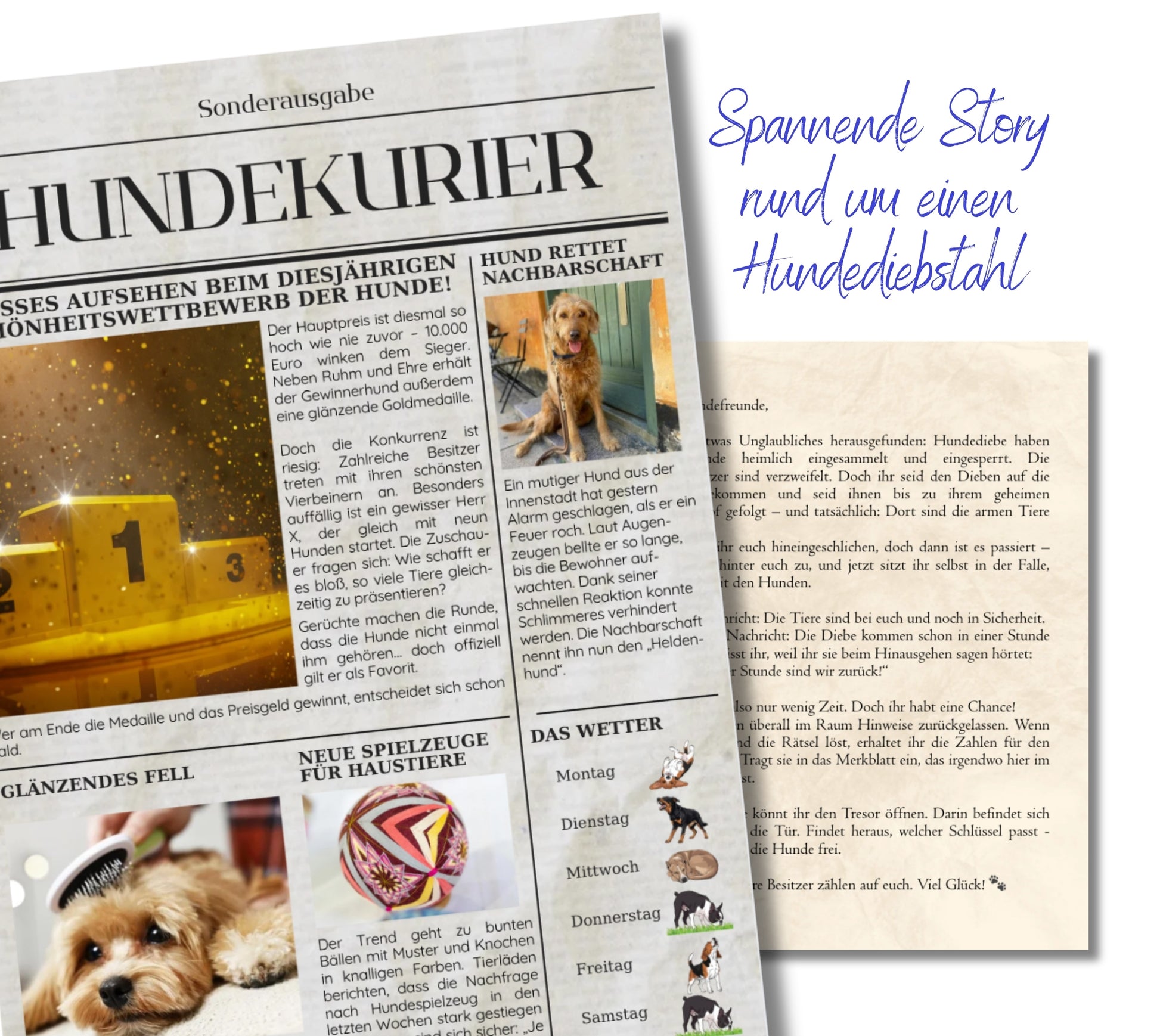 Escape Game Room für Kinder ab 8 Jahren, spannende Rätsel und Story mit Hundezeitschrift