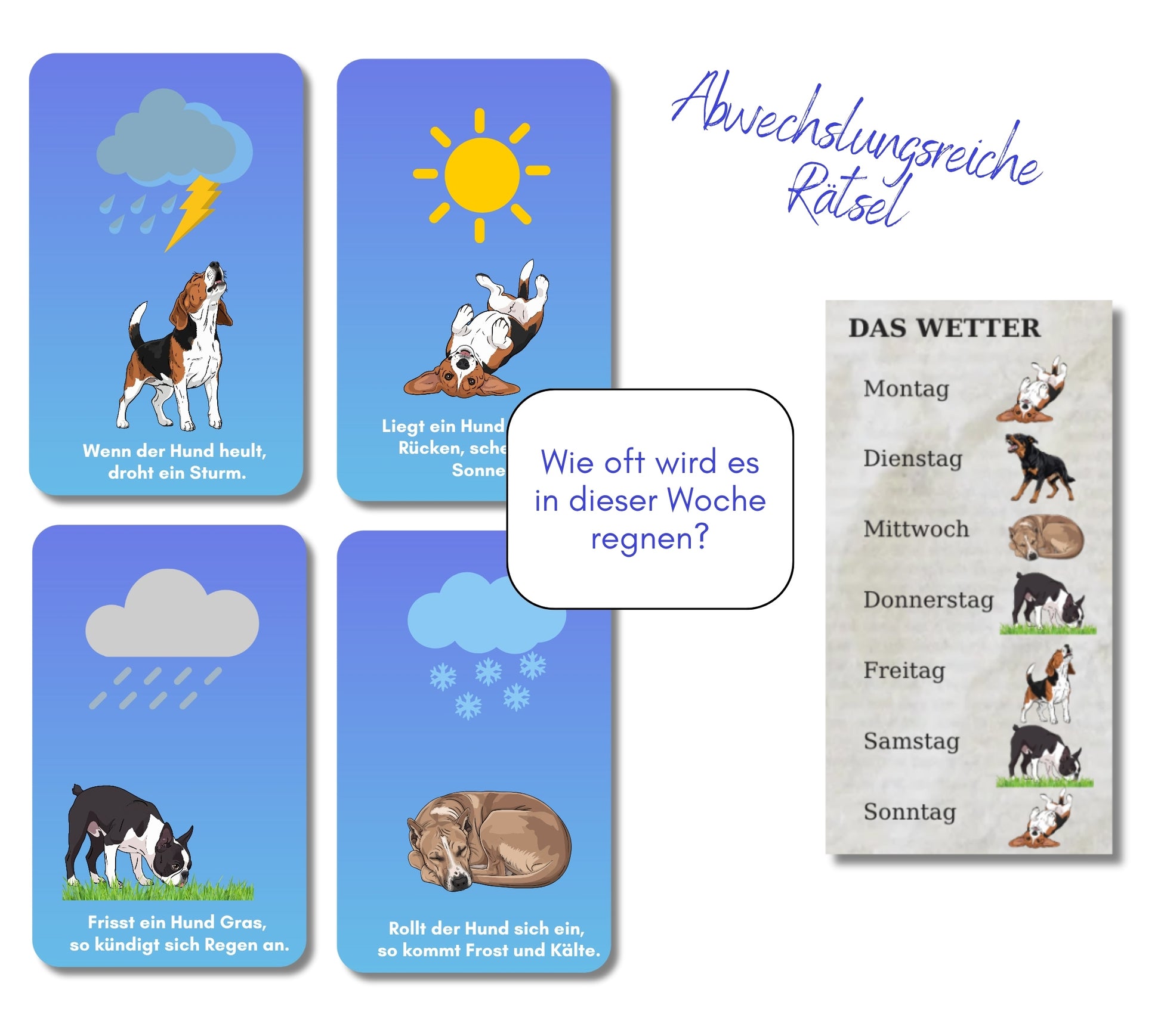 Escape Game Room für Kinder ab 8 Jahren mit vielen Rätseln zum Thema Hund, Mottoparty Hundeparty, Geburtstagsfeier